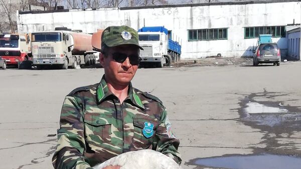 Лебедя-шипуна спасли в Павлодарской области - Sputnik Казахстан