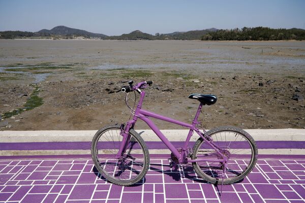 Велосипед на территории острова Фиолетовый в провинции Южная Чолла в Южной Корее - Sputnik Қазақстан