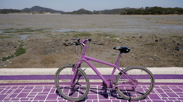 Велосипед на территории острова Фиолетовый в провинции Южная Чолла в Южной Корее - Sputnik Қазақстан