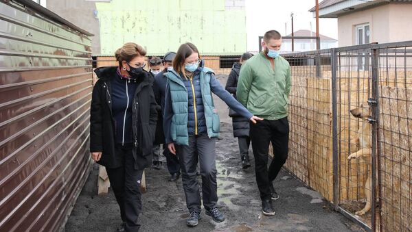 Дарига Назарбаева посетила столичные приюты для животных - Sputnik Казахстан