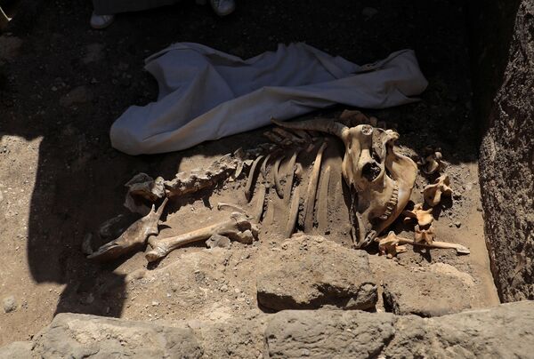 Раскопки на месте обнаруженного недалеко от Луксора золотого города в Верхнем Египте - Sputnik Казахстан