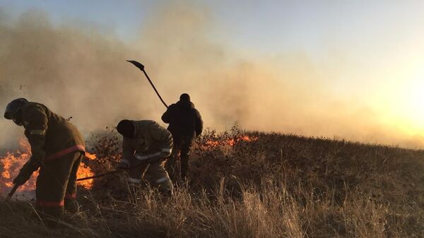 Четыре пожара на территории 750 гектаров произошли в Павлодарской области  - Sputnik Казахстан