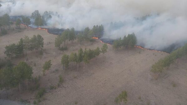 Пожар в резервате в Павлодарской области - Sputnik Қазақстан