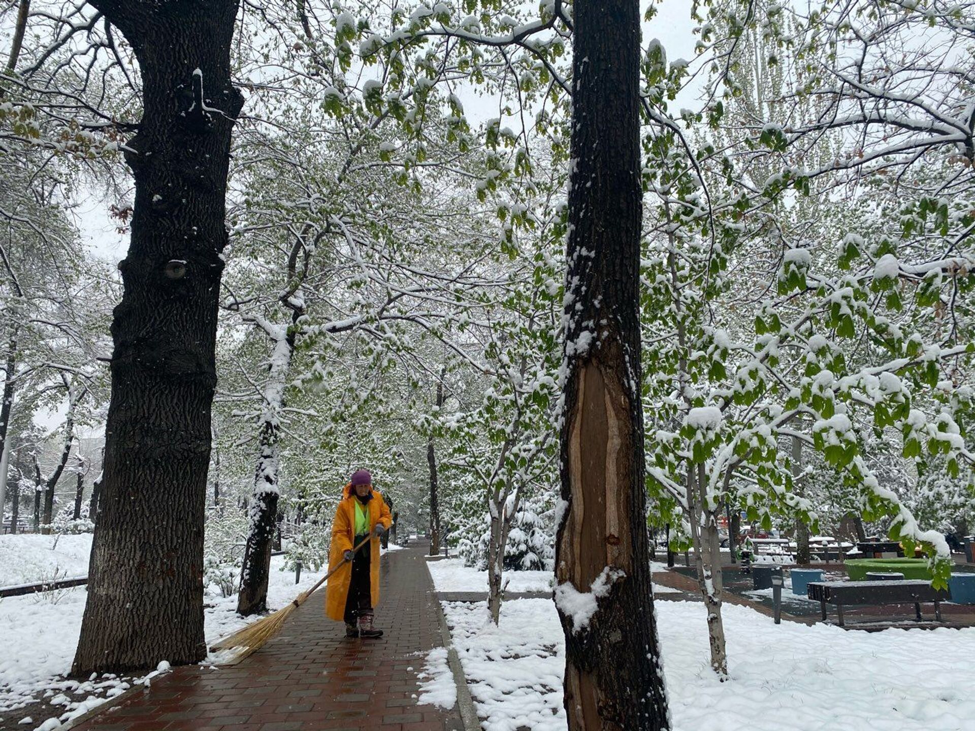 Последний аккорд зимы: Алматы завалило снегом в конце апреля - фото - Sputnik Казахстан, 1920, 22.04.2021