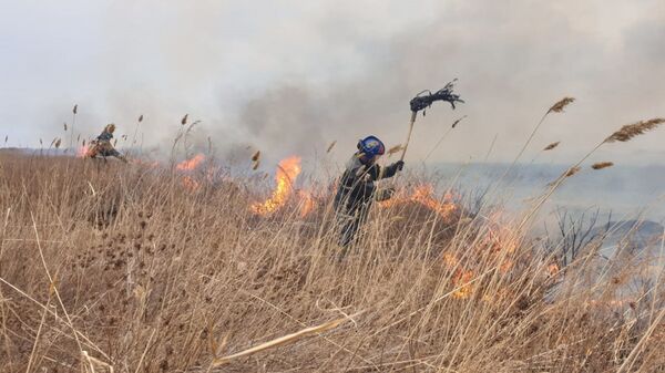Пожарные на тушении сухостоя  - Sputnik Казахстан