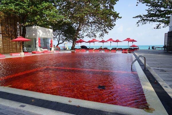 Самый красный бассейн в отеле The Library Resort, Таиланд - Sputnik Қазақстан