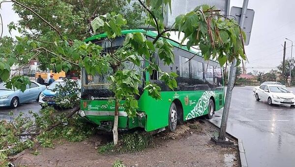 Пассажирский автобус врезался в дерево в Шымкенте - Sputnik Казахстан