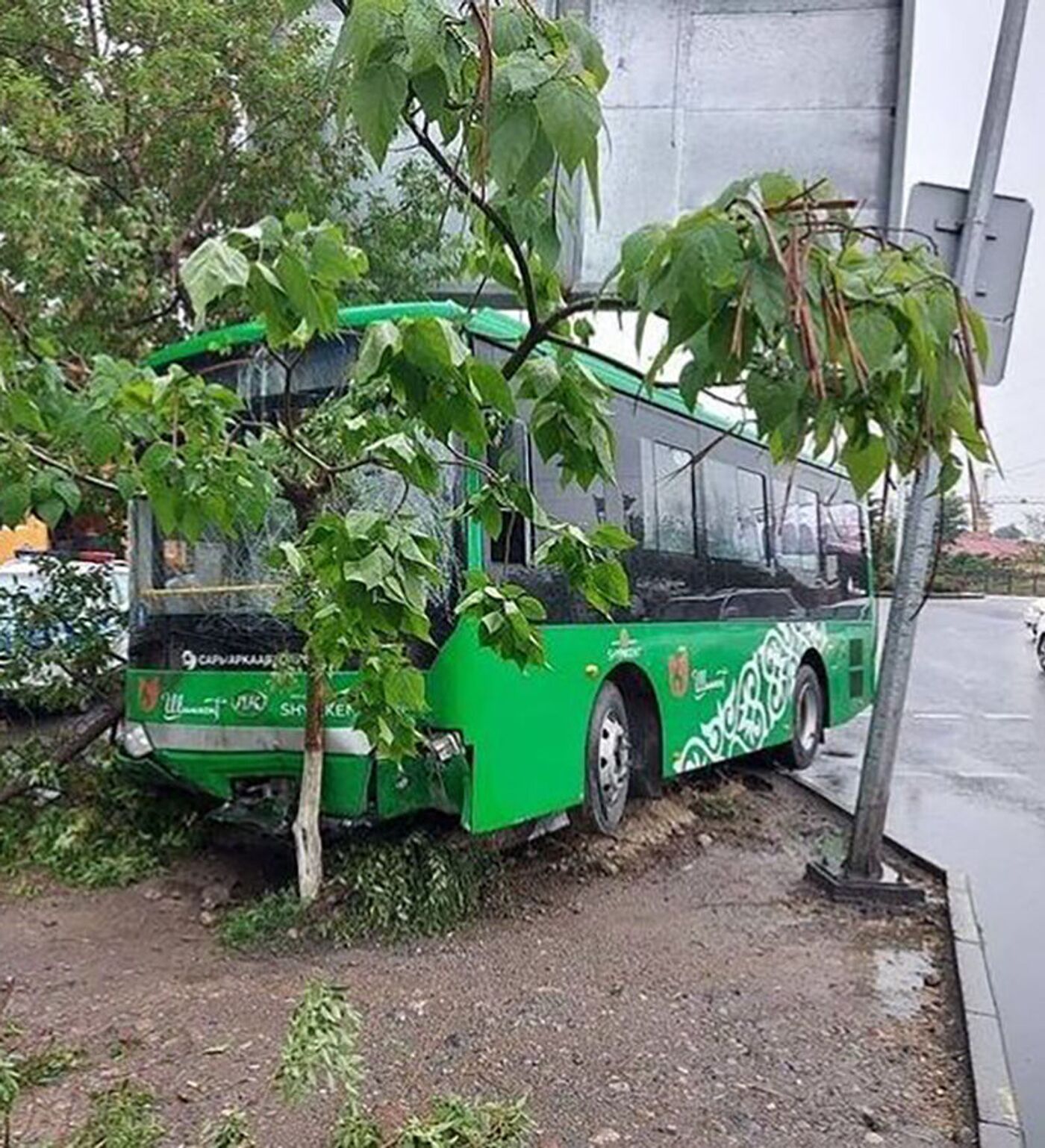 Маршрутный автобус влетел в дерево в Шымкенте