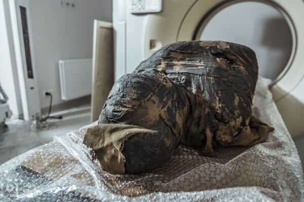 Радиологическая экспертиза древней мумии, которая была обнаружена в королевских гробницах в Верхнем Египте, доказала, что это тело беременной женщины - Sputnik Казахстан