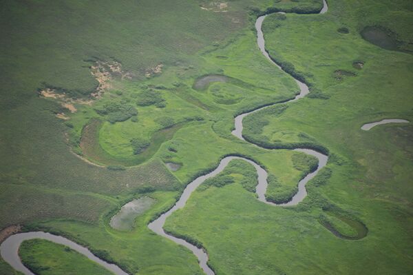 Вид на одну из рек в Кроноцком государственном природном биосферном заповеднике на Камчатке - Sputnik Казахстан