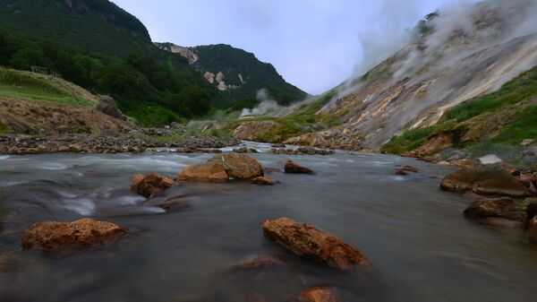 Долина Гейзеров в Кроноцком заповеднике на Камчатке - Sputnik Казахстан