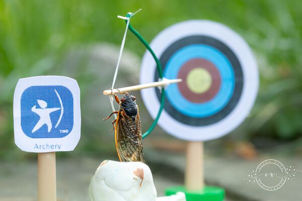 Цикады во вермя стрельбы из лука на снимке фотографа Oxana Ware - Sputnik Казахстан
