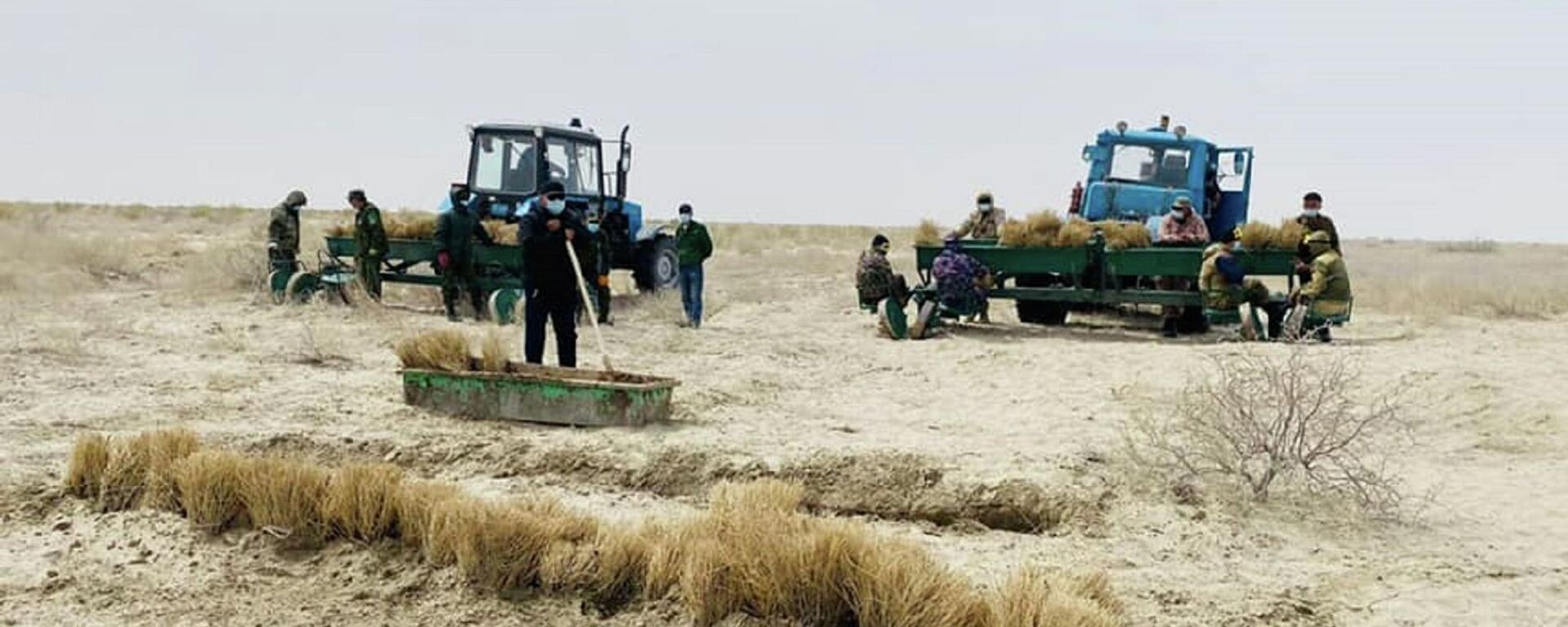 Арал теңізінің табанына сексеуіл отырғызылды - Sputnik Қазақстан, 1920, 22.01.2026