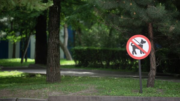 Запрет выгула собак - Sputnik Казахстан