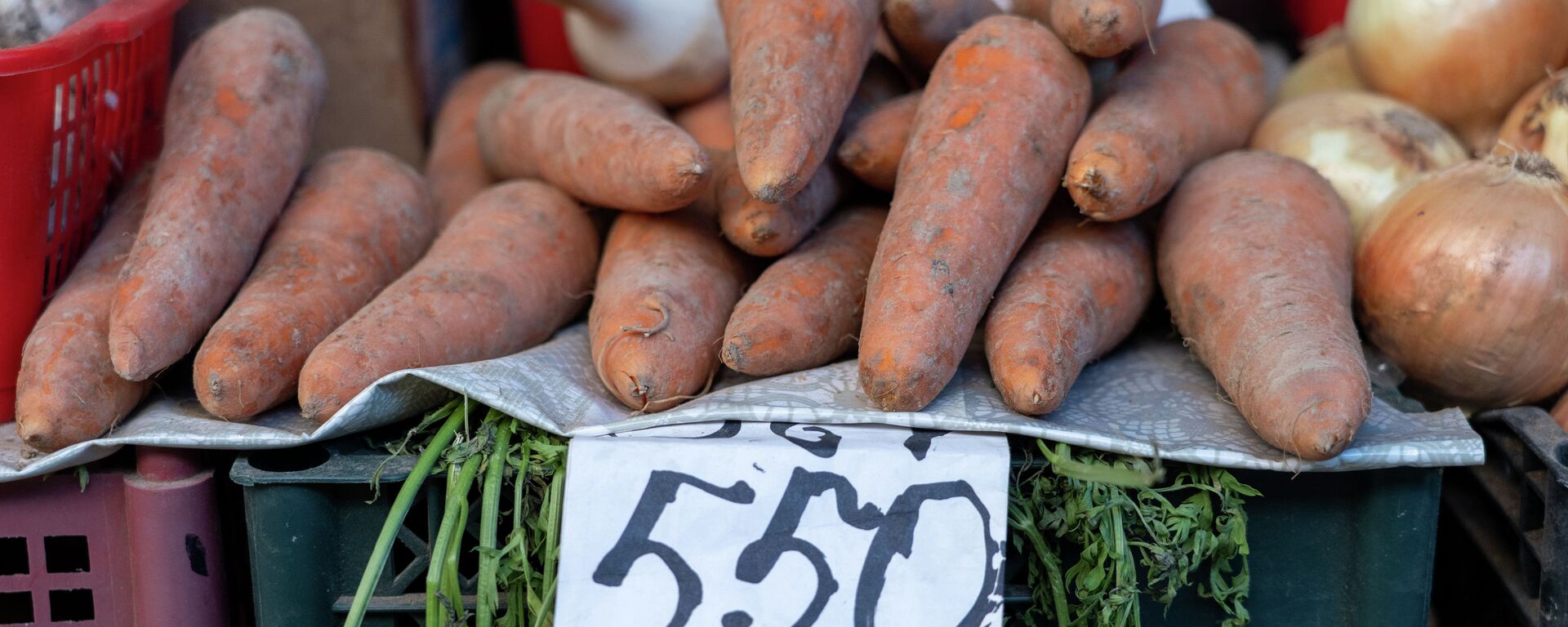 Овощи на рынке. морковь с ценником в 550 тенге за килограмм  - Sputnik Казахстан, 1920, 25.09.2021