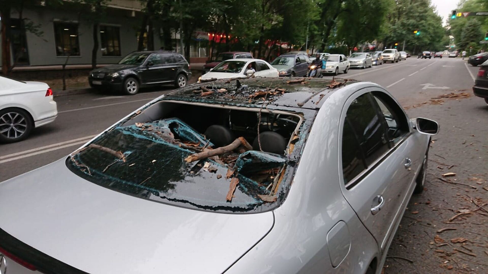 В Алматы крупная ветка упала и повредила пять авто - Sputnik Казахстан, 1920, 24.06.2021
