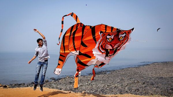 Участник запускает воздушного змея в форме тигра во время Международного фестиваля воздушных змеев в Мумбаи - Sputnik Казахстан