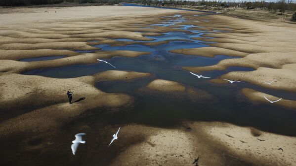 Птицы летают над почти засохшей рекой Old Parana во время засухи в Аргентине  - Sputnik Казахстан