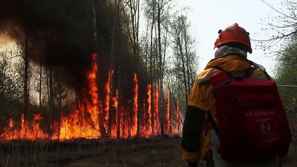 Сотрудник Авиалесоохраны во время тушения лесного пожара в Якутии - Sputnik Казахстан