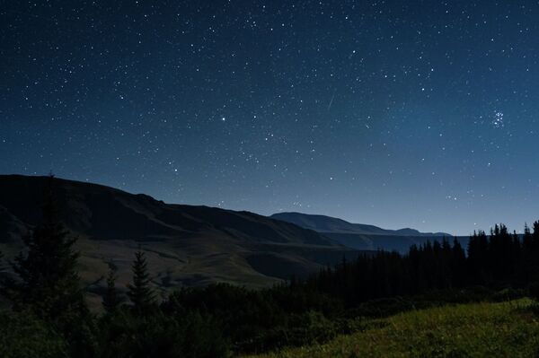 Эротикалық секс анимация