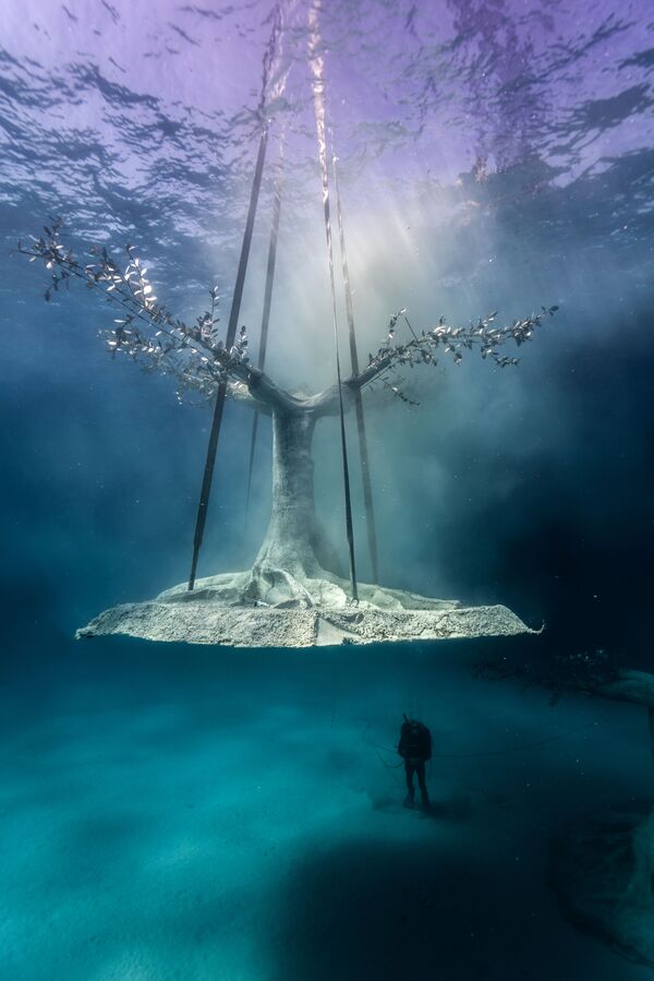 Установка дерева в музей подводной скульптуры Musan у пляжа Пернера в Айя-Напе, Кипр - Sputnik Қазақстан
