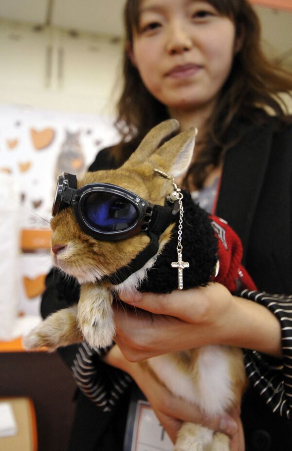 Хозяйка демонстрирует кролика в маскарадном костюме во время конкурса кроличьей моды в Rabbit Festa в городе Иокогама - Sputnik Қазақстан