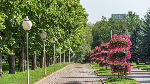 Алматыдағы саябақ - Sputnik Қазақстан