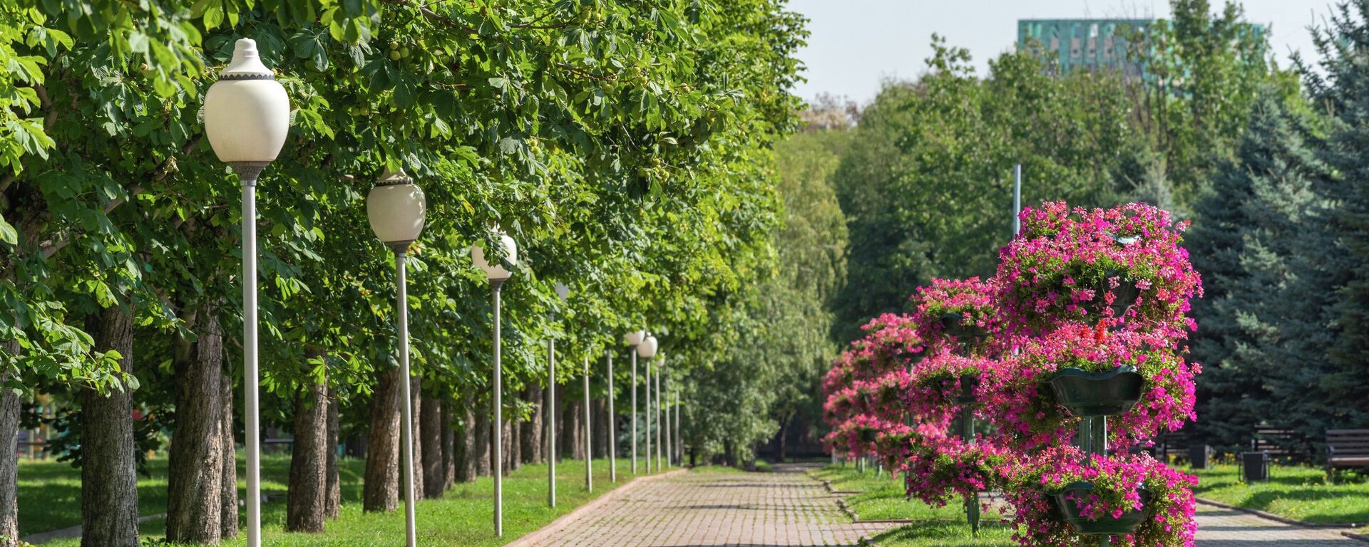 Алматыдағы саябақ - Sputnik Қазақстан, 1920, 13.08.2025