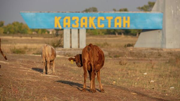 Корова у дороги рядом со стелой с надписью Казахстан - Sputnik Қазақстан