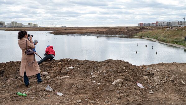 Жители Нур-Султана фотографируют фламинго на Талдыколе - заболоченном озере на территории казахстанской столицы, которое находится под угрозой исчезновения.  - Sputnik Казахстан