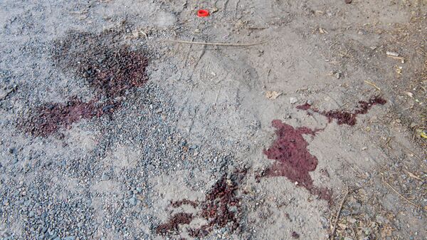 У соседнего дома на асфальте возле ворот можно было заметить пятна крови - Sputnik Казахстан