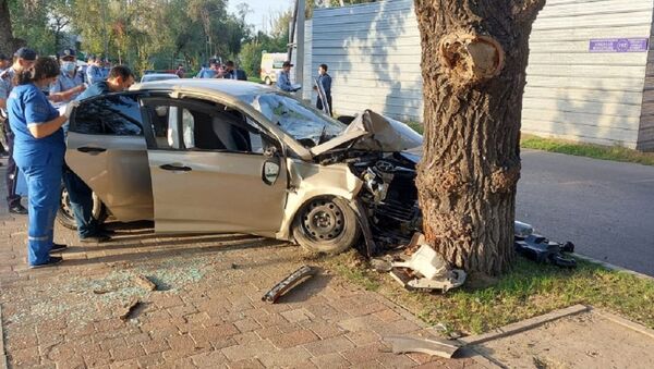 Автомобиль на скорости влетел в дерево - Sputnik Казахстан