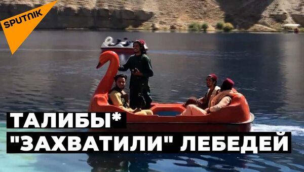 Вооруженные боевики Талибана* катались на лебедях  - видео - Sputnik Казахстан