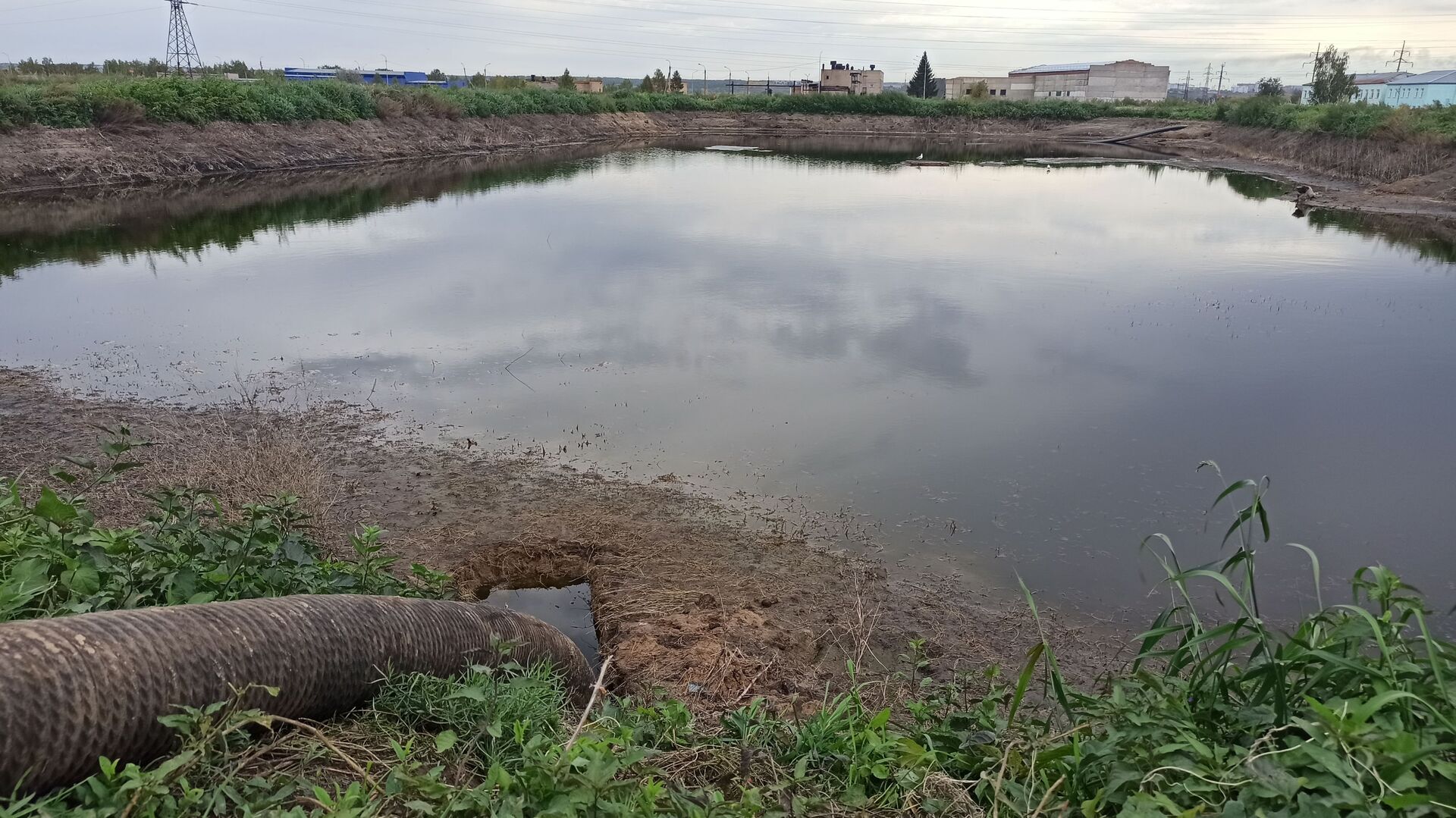 Убьет зловоние: тысячи тонн водоросли выпустили в биопруд Петропавловска - Sputnik Казахстан, 1920, 25.09.2021