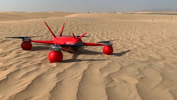 Спасательный Seadrone успешно прошел испытания в Дубае и Карском море  - Sputnik Казахстан