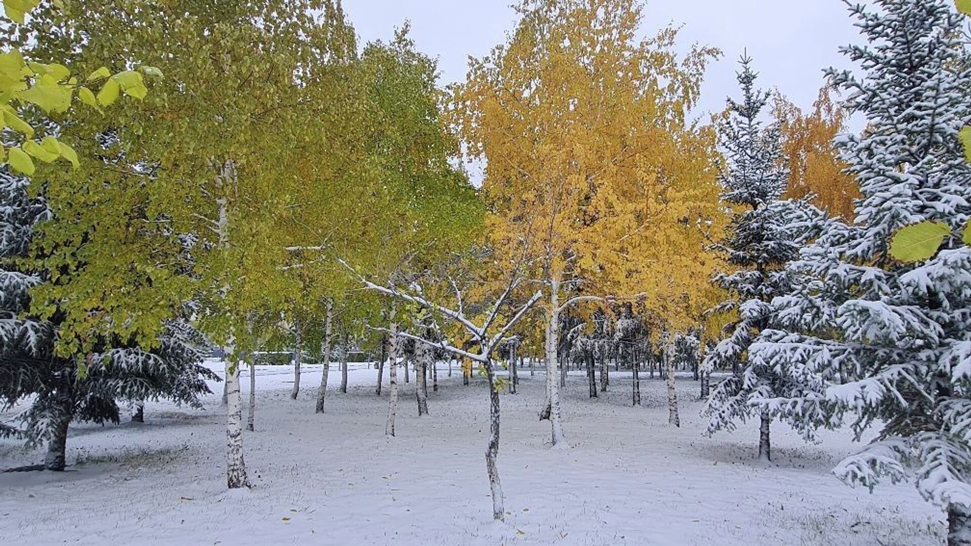 Снежный апокалипсис: Нур-Султан накрыло толстым слоем снега, город встал в пробках - Sputnik Казахстан, 1920, 05.10.2021