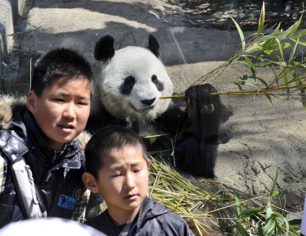 Японские мальчики на фоне панды в зоопарке Уэно в Токио - Sputnik Казахстан