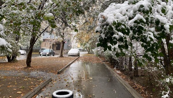 Первый снег выпал в Алматы - Sputnik Қазақстан