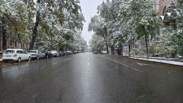 Первый снег выпал в Алматы - Sputnik Қазақстан