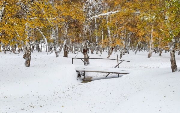 Засыпанный октябрьским снегом мостик через ручей в березовой роще близ села Каражар в Восточно-Казахстанской области  - Sputnik Казахстан