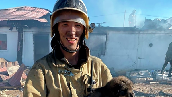 Актюбинский пожарный спас щенка из огня - Sputnik Қазақстан