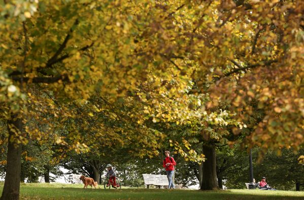 Деревья в осенних цветах в лондонском парке   - Sputnik Қазақстан