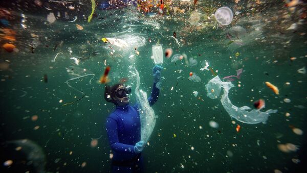 Один из обладателей Гран-при конкурса имени Стенина-2021 - фото Шебнем Кошкун из Турции Новая опасность для подводного мира: отходы COVID-19 - Sputnik Казахстан