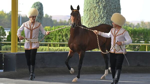 Касым-Жомарт Токаев посетил Ахалтекинский конный комплекс - Sputnik Казахстан