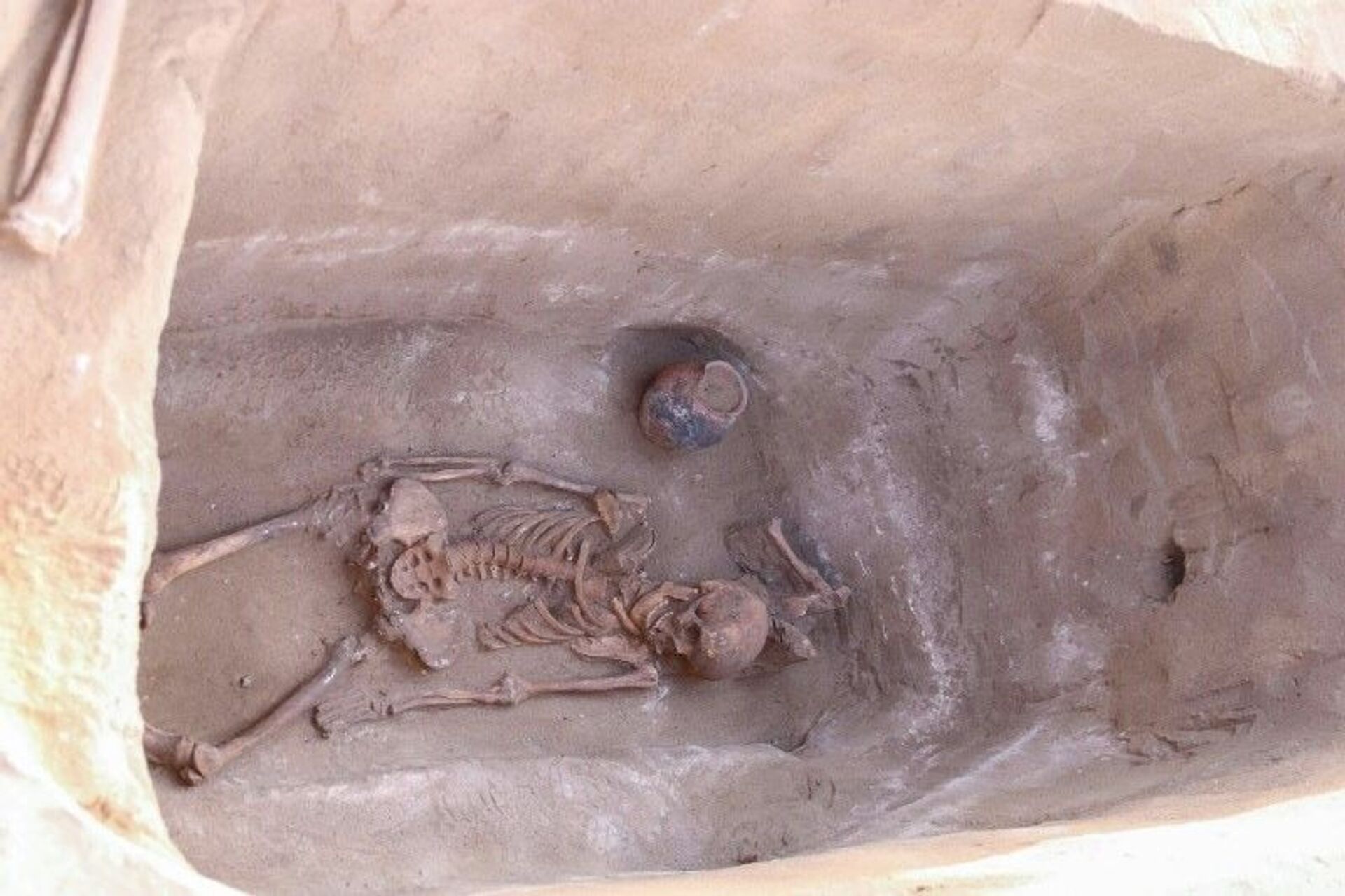 Уникальную находку обнаружили в древних курганах в Павлодарской области - Sputnik Казахстан, 1920, 25.10.2021