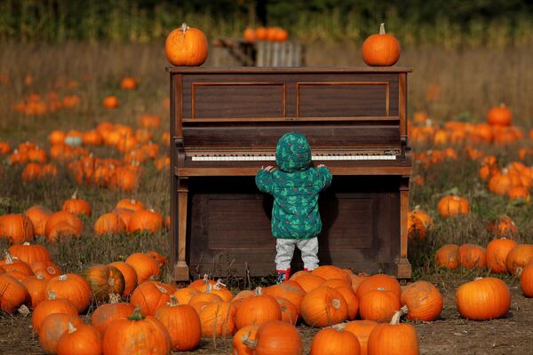 Ребенок играет на пианино на тыквенном поле фермы Pop Up Farm в Великобритании в преддверии Хэллоуина - Sputnik Казахстан