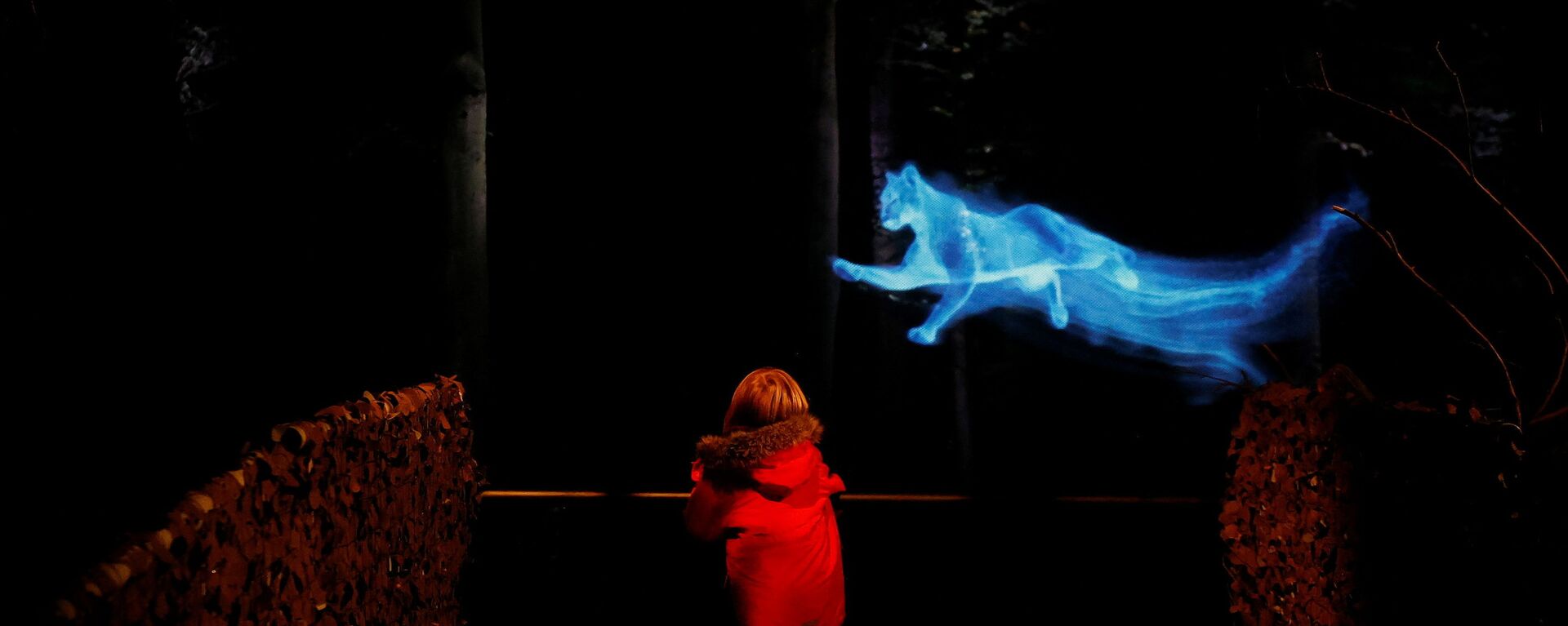 Ребенок в «Запретном лесу Гарри Поттера» в Арли-холле, Великобритания - Sputnik Казахстан, 1920, 31.10.2021