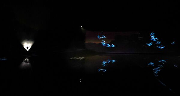 Световая инсталляция, показывающая, как Гарри сражается с дементорами в «Запретном лесу Гарри Поттера» в Арли-холле, Великобритания - Sputnik Казахстан