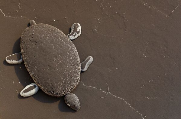 Фигура черепахи под пеплом вследствие извержения вулкана на острове Пальма - Sputnik Казахстан