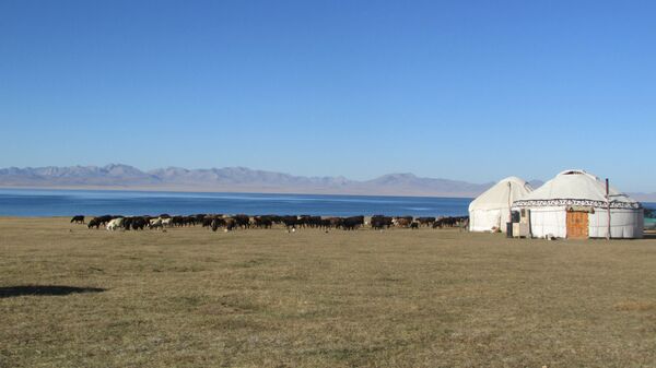 Лагерь скотоводов на летнем пастбище (джайлоо) Сон-Кол в Нарынской области - Sputnik Казахстан
